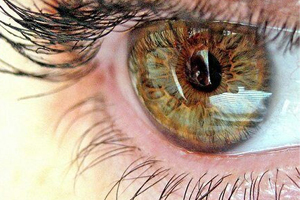 33 необычных факта о наших глазах