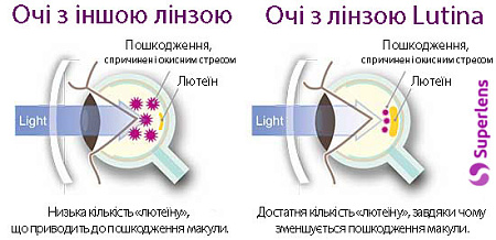 TOKAI 1.67 AS Lutina PGC Pro-Guard Coating P-UV