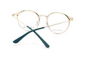 Оправа для окулярів CASTA CST 1218 LU TRGLD