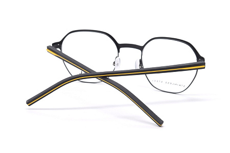 MARIUS MOREL THALES1 ND01