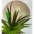 Divel Italia 1.61 Fotochromic Silken Brown