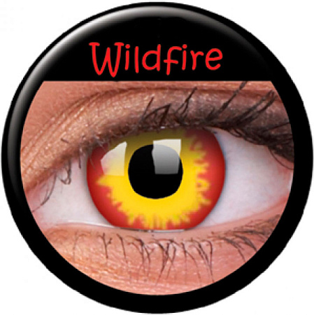 Wild Fire Wild Fire