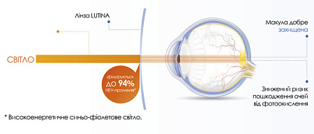TOKAI 1.67 AS Lutina PGC Pro-Guard Coating P-UV