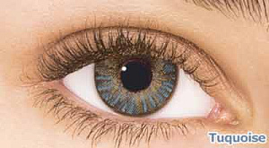 FreshLook Colors Blends контактные цветные линзы Alcon FreshLook Colors Blends контактные цветные линзы Alcon
