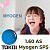 Tokai 1.60 AS Myogen SPS