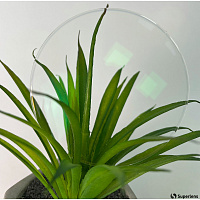 Divel Italia 1.61 Fotochromic Silken Grey | Линзы для очков