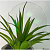 Divel Italia 1.61 Fotochromic Silken Grey