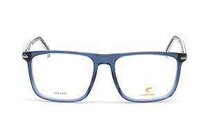 Оправа для окулярів Carrera CCL CARRERA 319 PJP5617