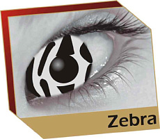 Crazy лінзи Zebra Crazy лінзи Zebra