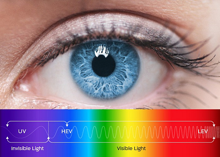 Shamir 1.61 Blue Zero Glacier Plus Shamir 1.61 Blue Zero Glacier Plus